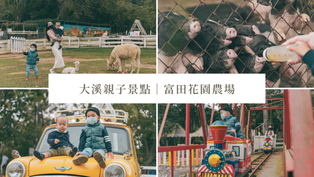 大溪親子景點》富田花園農場。動物就在你身邊,羊駝、驢子、各種雞鴨的零距離餵食!